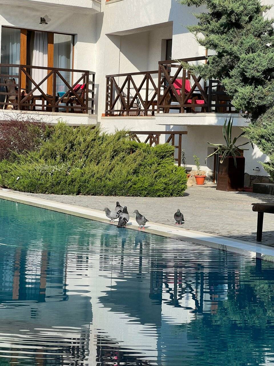 Фото Гостиницы Барселона Судак 133